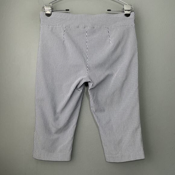 Coastal Capris Pants Signature Slimming Size 10 Petite Blue White Striped Preppy - Picture 5 of 13